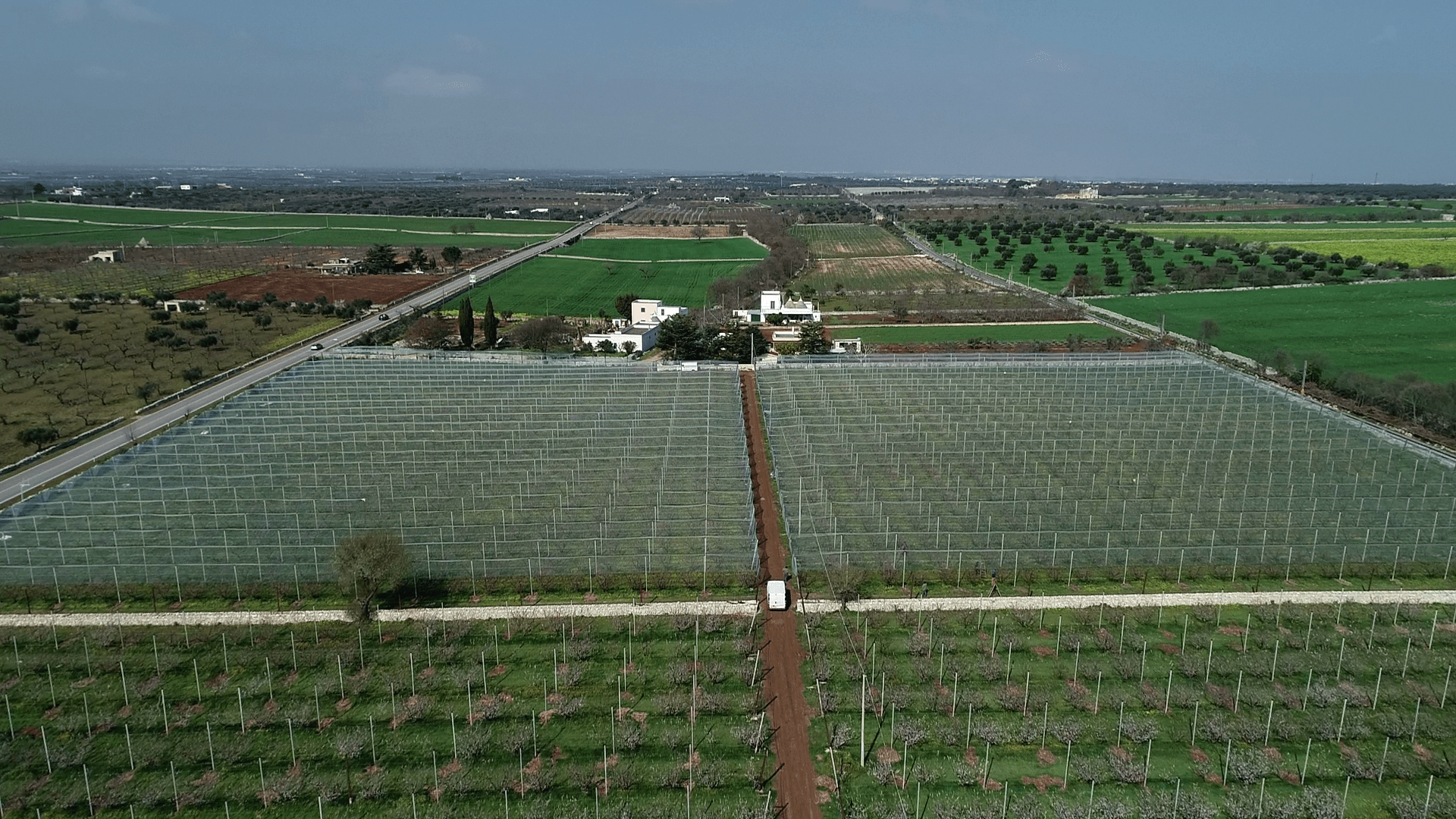 arrigoni-agrotextiles-huertas-frutales|arrigoni-Biorete|arrigoni-FRUCTUS